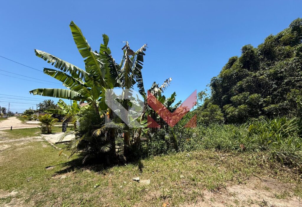 Terreno localizado no bairro Jamaica em Itanhaém/Sp
